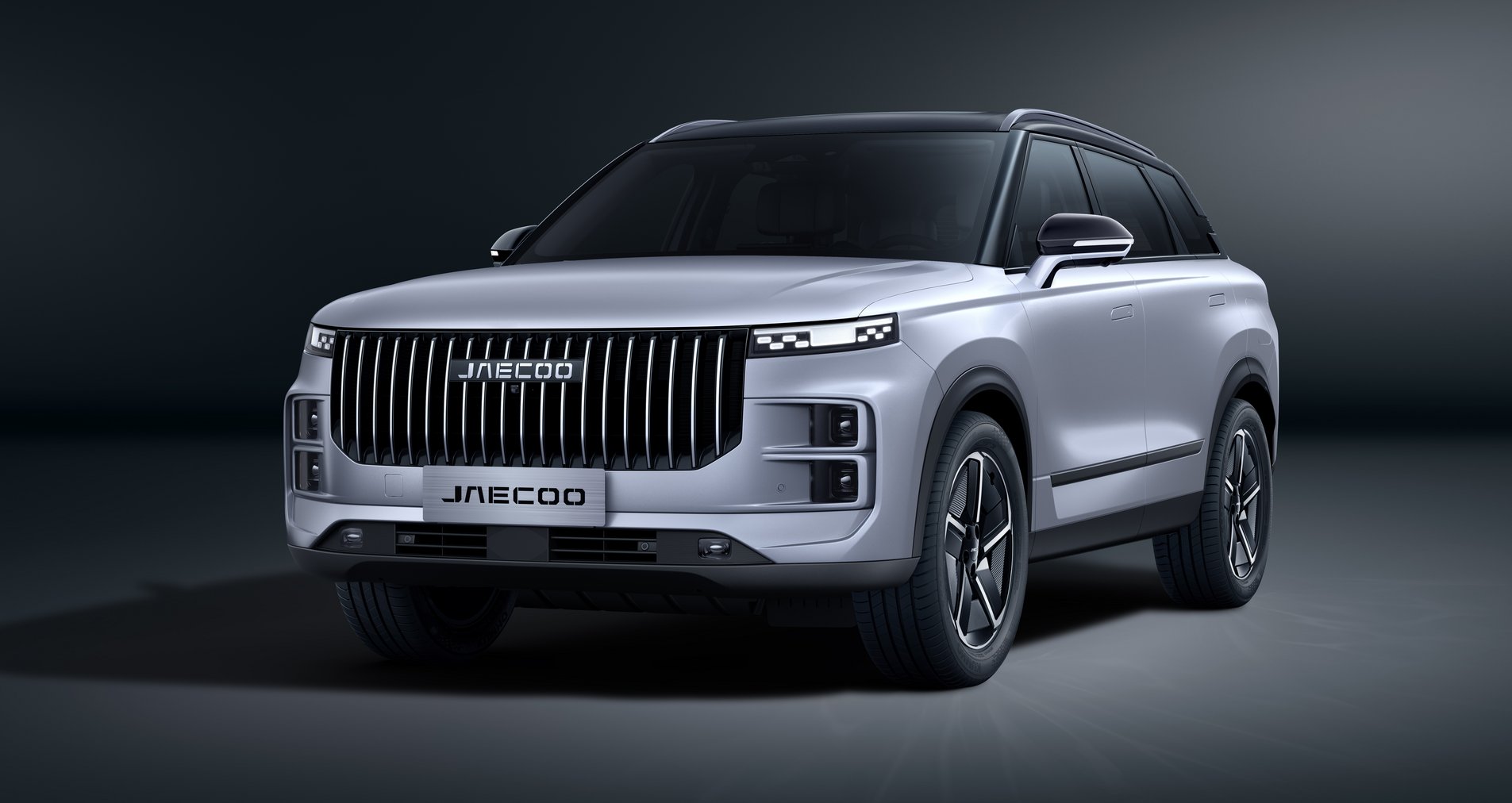 MOONLIGHT SILVER / CZARNY DACH